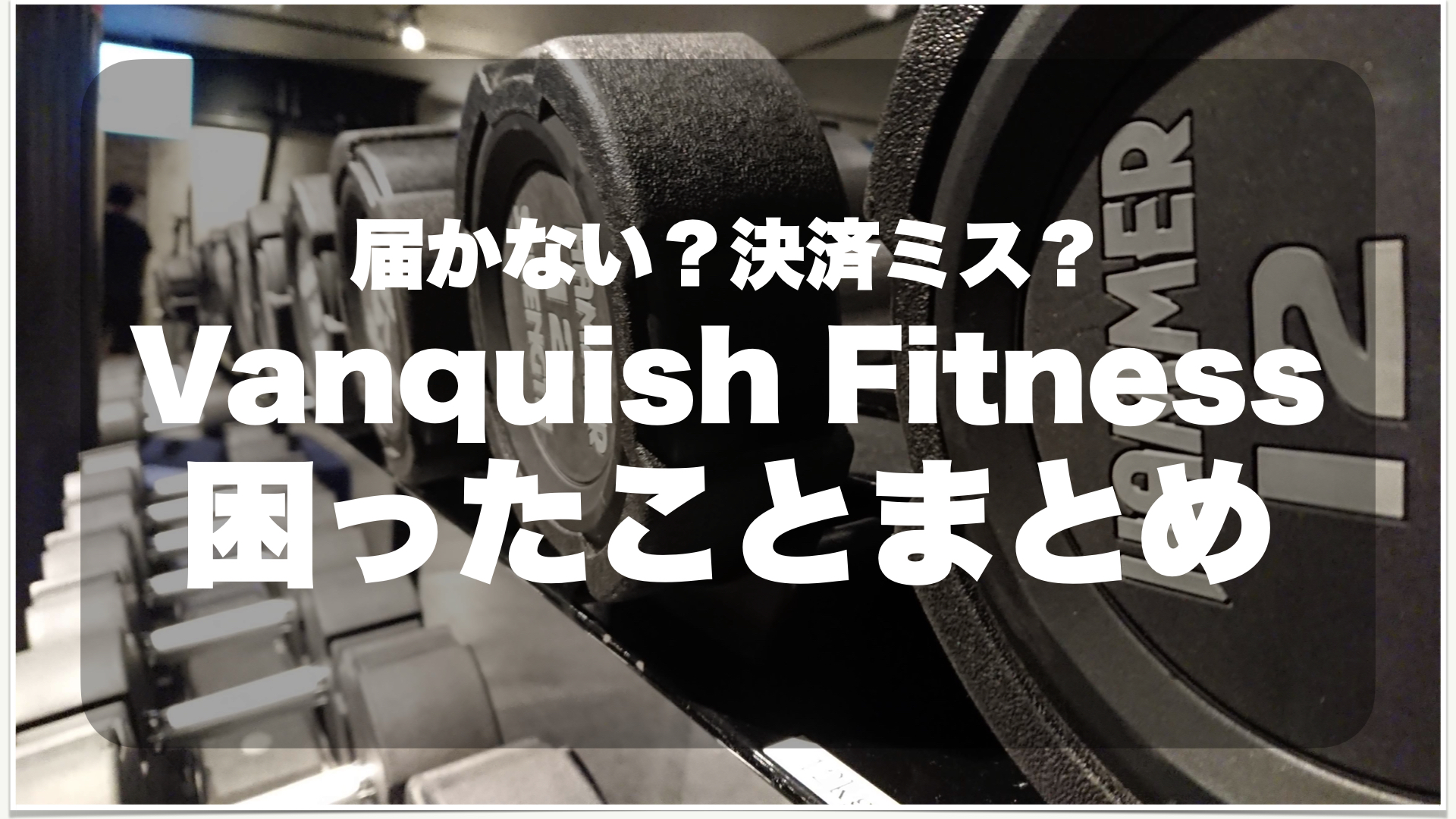 届かない？決済ミス？】vanquish fitness海外通販で困ったこと